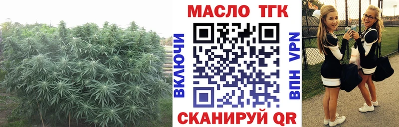 Купить где  Купино  ТГК THC oil 